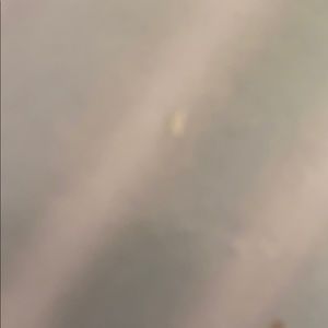 Meet your Posher, Digna